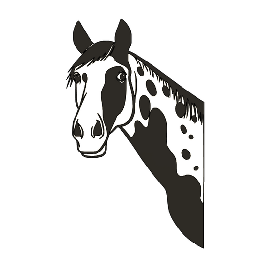 Appaloosa!