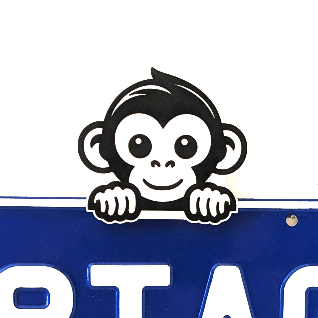 Baby Monkey