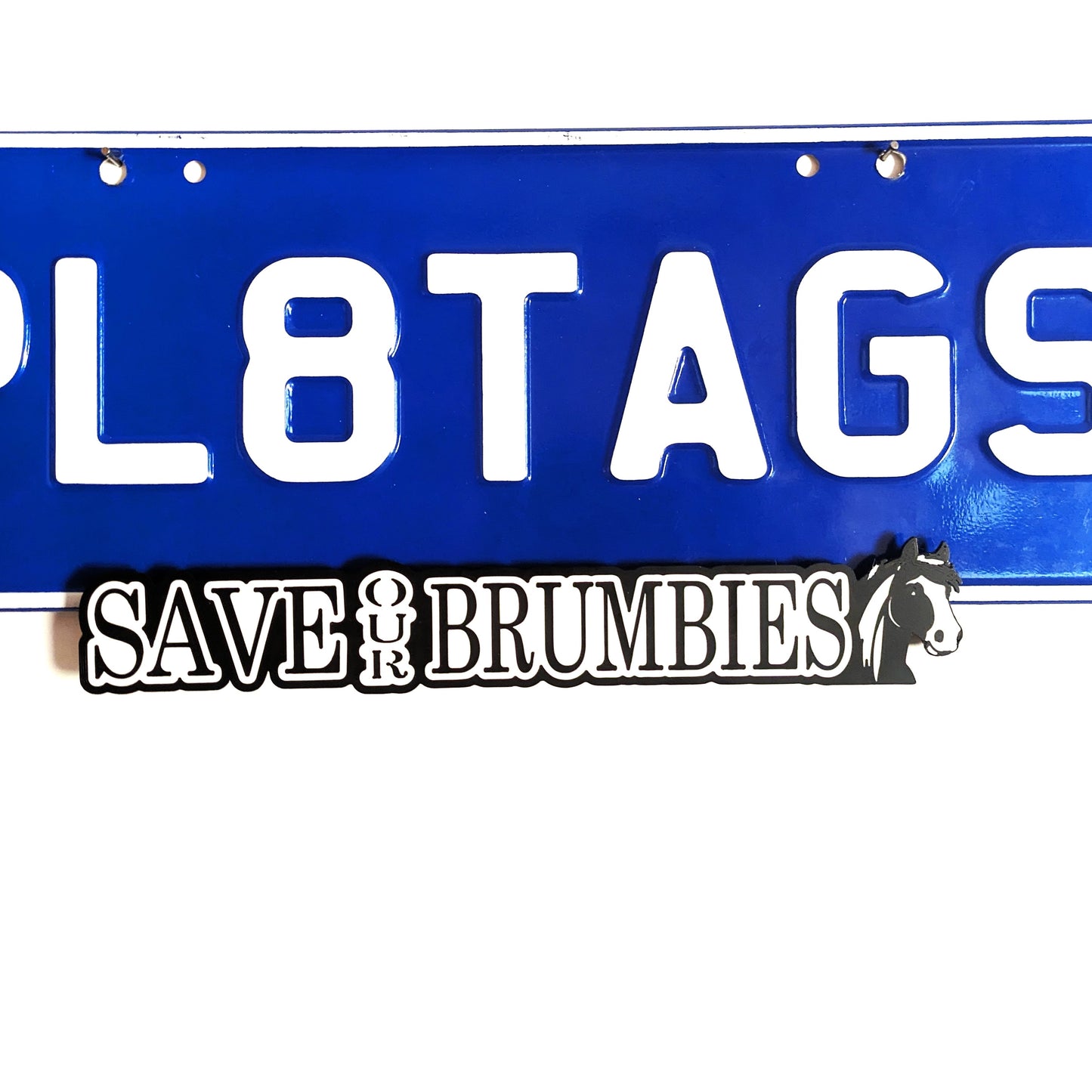 Save Our Brumbies